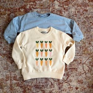 Zara Kids Cream and Blue Carrot Print Sweatshirts